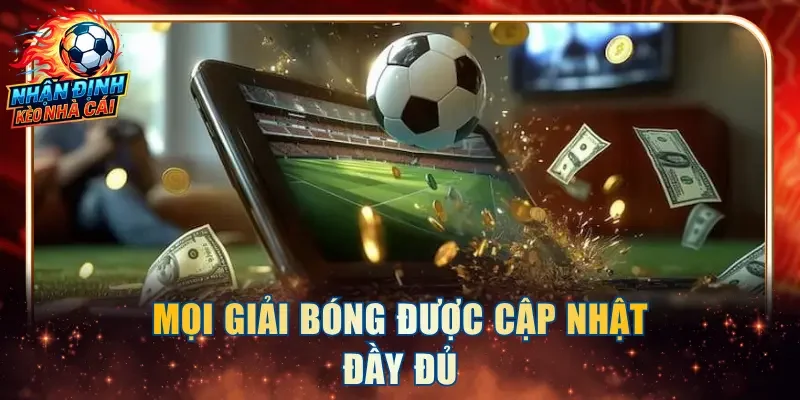 Mọi giải bóng được cập nhật đầy đủ