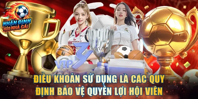 Điều khoản sử dụng là các quy định bảo vệ quyền lợi hội viên