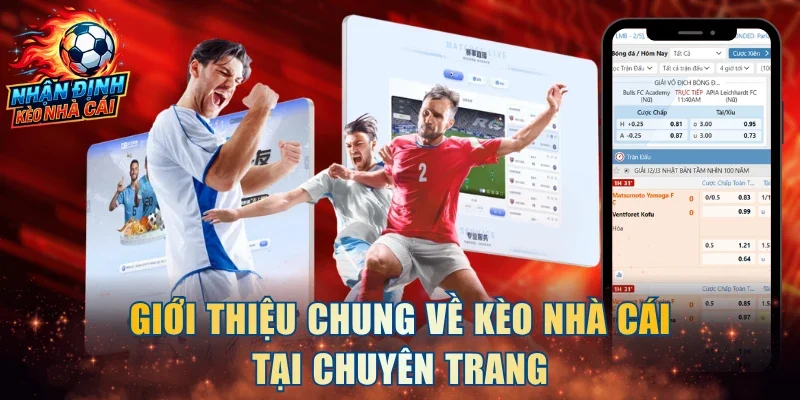 Giới thiệu chung về kèo nhà cái tại chuyên trang