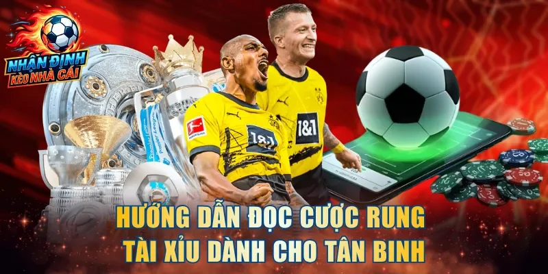 Hướng dẫn đọc cược rung tài xỉu dành cho tân binh