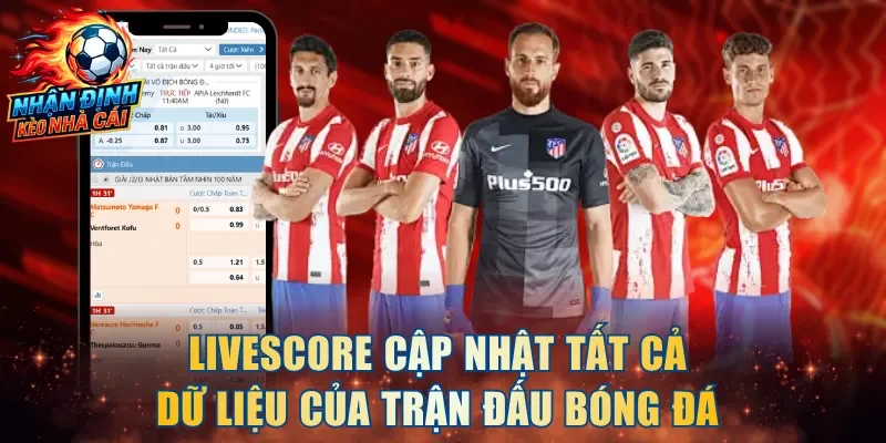 Livescore cập nhật tất cả dữ liệu của trận đấu bóng đá