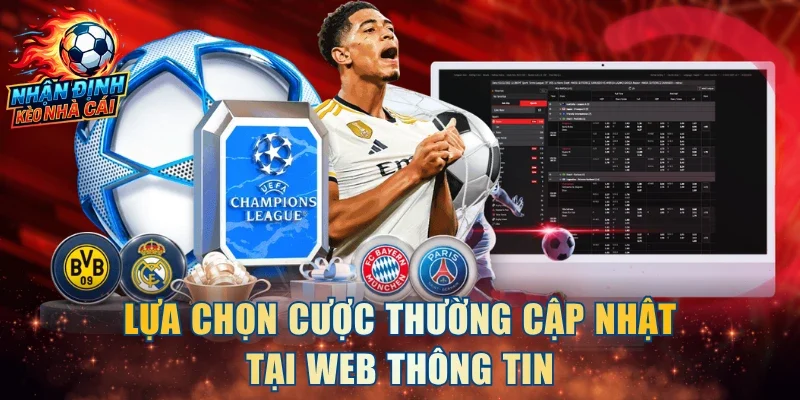 Lựa chọn cược thường cập nhật tại web thông tin