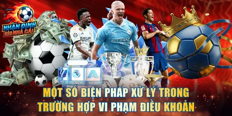 Một số biện pháp xử lý trong trường hợp vi phạm điều khoản