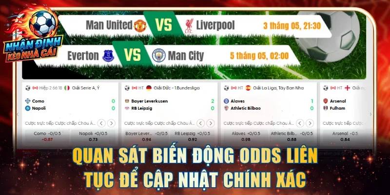 Quan sát biến động Odds liên tục để cập nhật thông tin chính xác