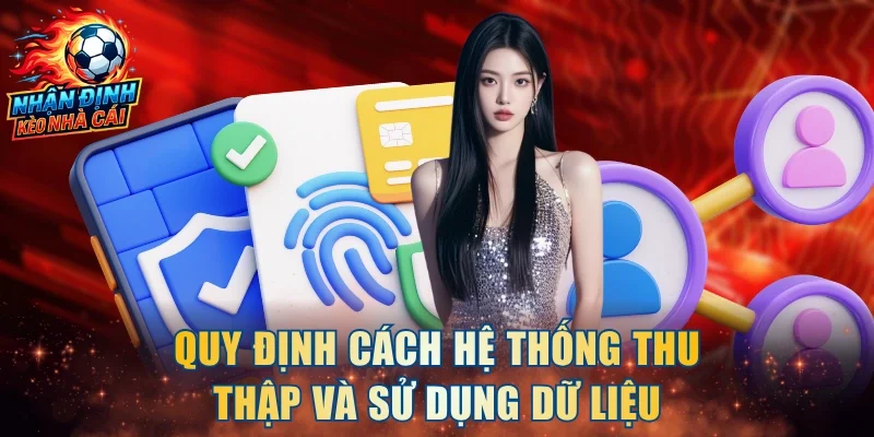 Quy định cách hệ thống thu thập và sử dụng dữ liệu